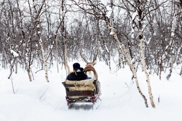 KIRUNA: Reindeer Sled Ride in the Countryside - Additional Information