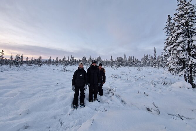 Kiruna Small-Group Snowshoe Activity - Activity Overview