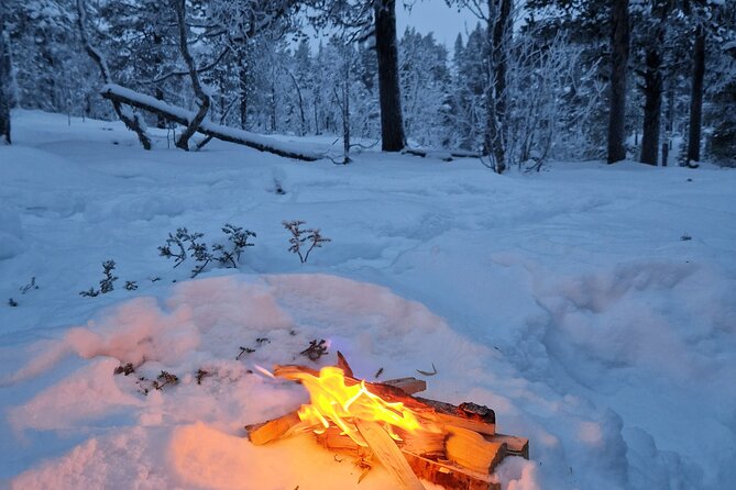 Kiruna Small-Group Snowshoe Activity - Local Culture and Life