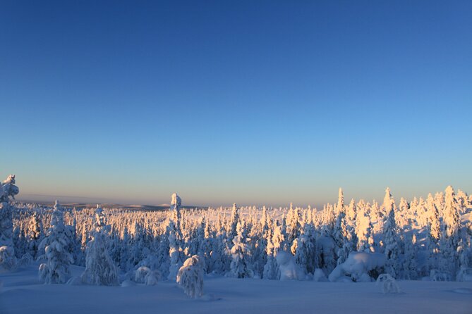Kiruna Small-Group Snowshoe Activity - Wildlife and Landscapes
