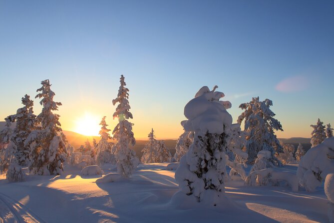 Kiruna Small-Group Snowshoe Activity - Pricing and Terms