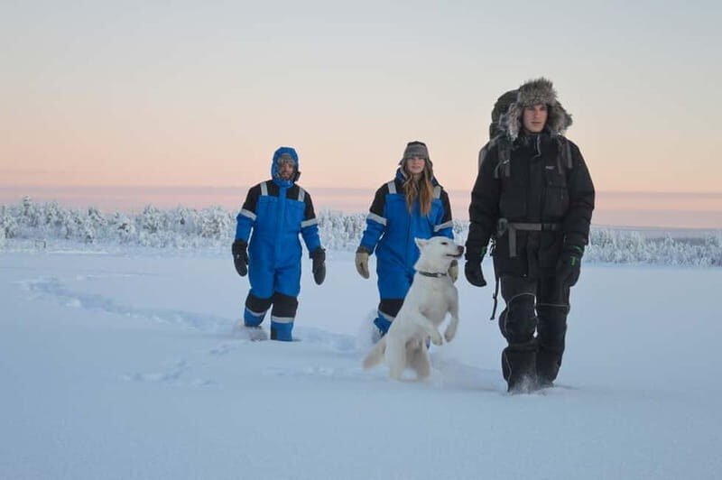 Kiruna: Snowshoe Hike & Ice fishing Tour - Practical Details and Value