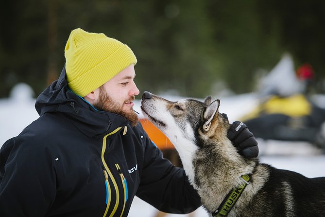 Kiruna, Swedish Lapland: Private Dog Sledding With Lunch - Booking and Flexibility
