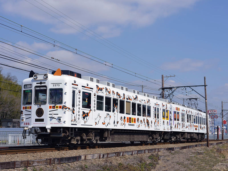 Kishi Station & Shirahama Full-Day Private Charter Tour - At a glance