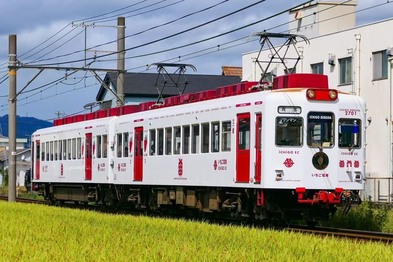 Kishi Station & Shirahama Full-Day Private Charter Tour - Two stops, but no published stop-by-stop plan