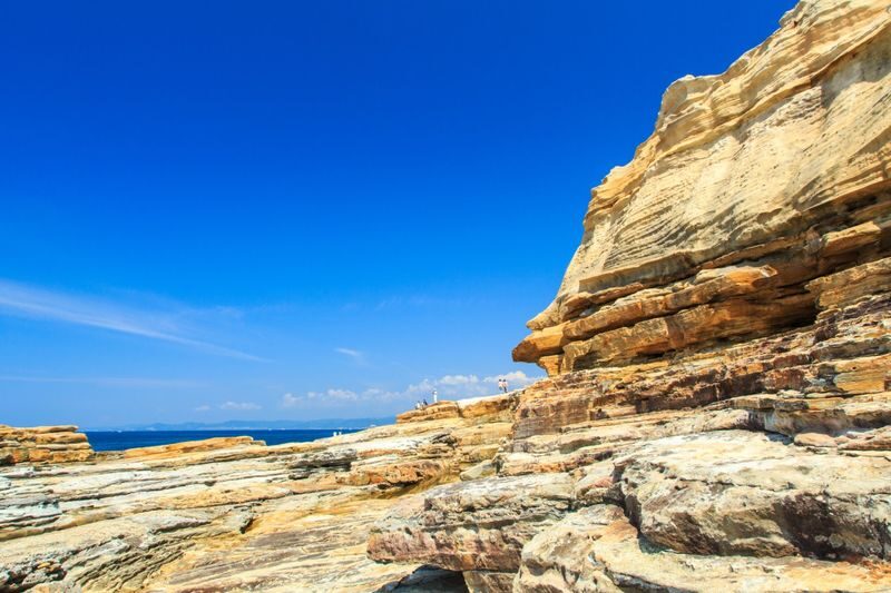 Kishi Station & Shirahama Full-Day Private Charter Tour - Is $334.39 good value?
