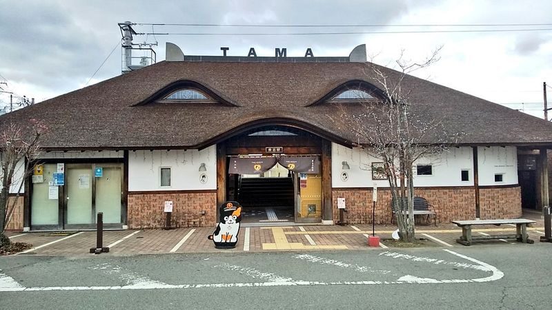 Kishi Station & Shirahama Full-Day Private Charter Tour - Who should consider this day out?