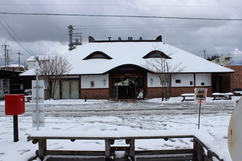 Kishi Station & Shirahama Full-Day Private Charter Tour - Booking checks worth making