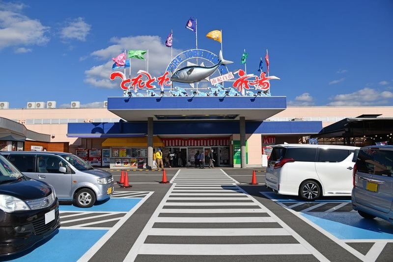 Kishi Station & Shirahama Full-Day Private Charter Tour - Should you book the Kishi Station and Shirahama charter?