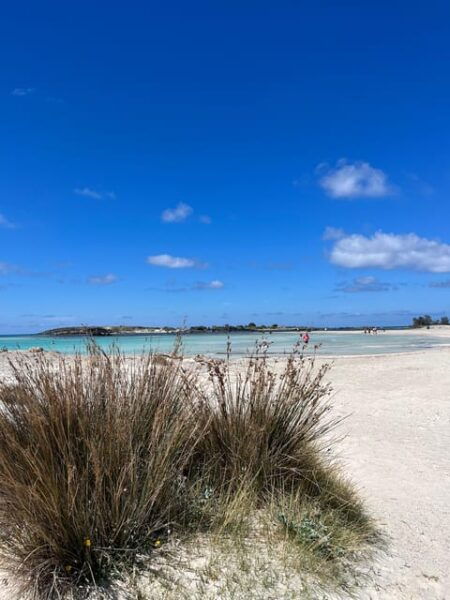 Kissamos: Elafonisi Beach Day Tour by MiniBus - What to Bring