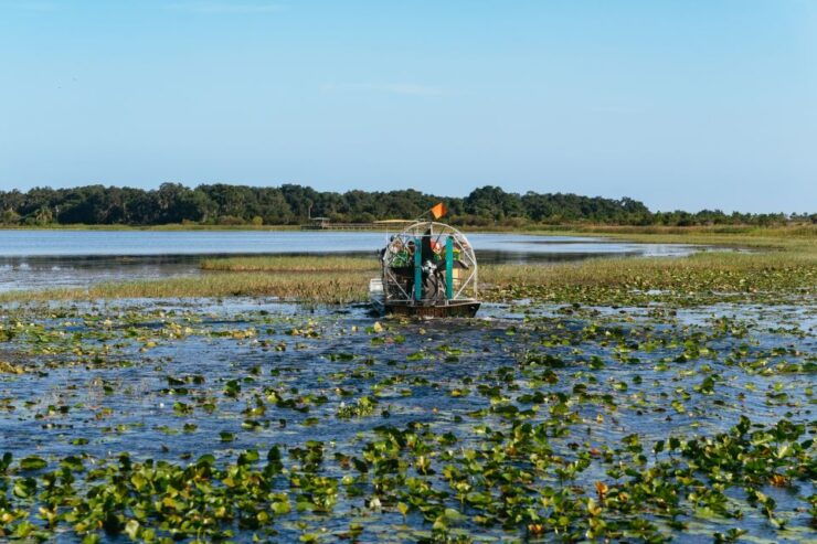 Kissimmee: 1-Hour Airboat Everglades Adventure Tour - Tour Duration and Cancellation Policy