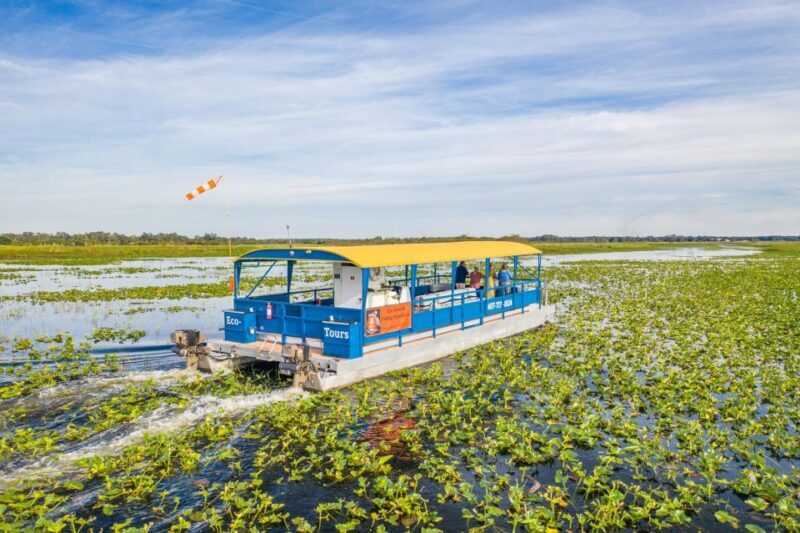 Kissimmee: 1 Hour Florida Everglades Pontoon Boat Tour - An Honest Look at the Florida Everglades Pontoon Tour