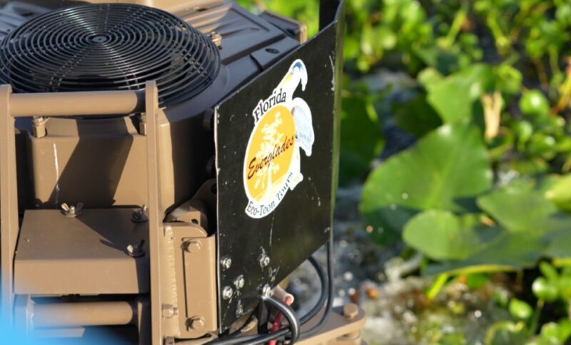 Kissimmee: 1 Hour Florida Everglades Pontoon Boat Tour - Frequently Asked Questions