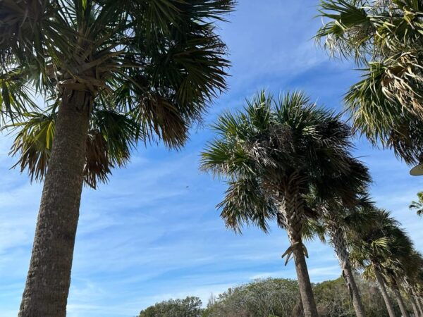 Kissimmee: 4-Hour All Electric Trike Lakefront Beach Tour - Important Information