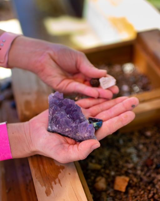 Kissimmee: Boggy Creek Airboat Ride with Optional Meal - Final Thoughts