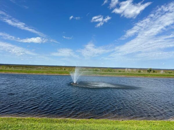 Kissimmee: Experience Wild Florida Nature All Electric Trike - All-Electric Trike Tour