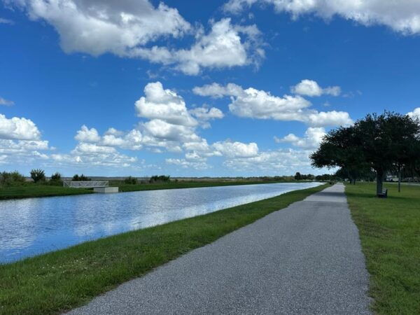 Kissimmee: Experience Wild Florida Nature All Electric Trike - Wildlife Viewing Opportunities