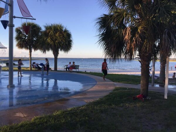 Kissimmee: Experience Wild Florida Nature All Electric Trike - Lakefront Park and Beach