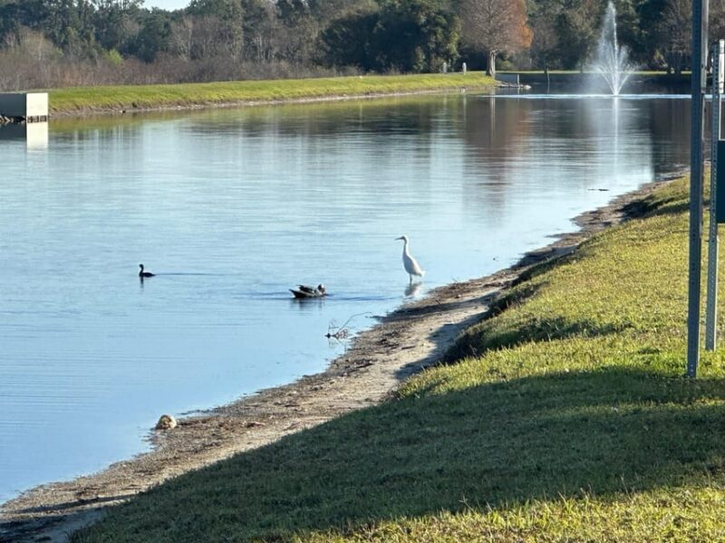 Kissimmee: Self-Guided Lakefront Tour on All Electric Bike - Good To Know