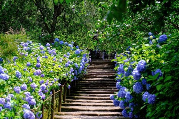 Kita-Kamakura Audio Guide Tour: Discovering Zen Serenity - The Sum Up