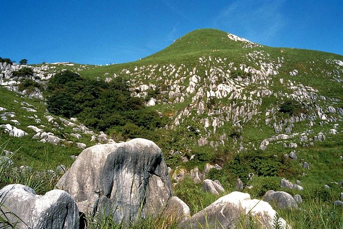 Kitakyushu Full-Day Private Trip With Government-Licensed Guide - Pricing and Group Size