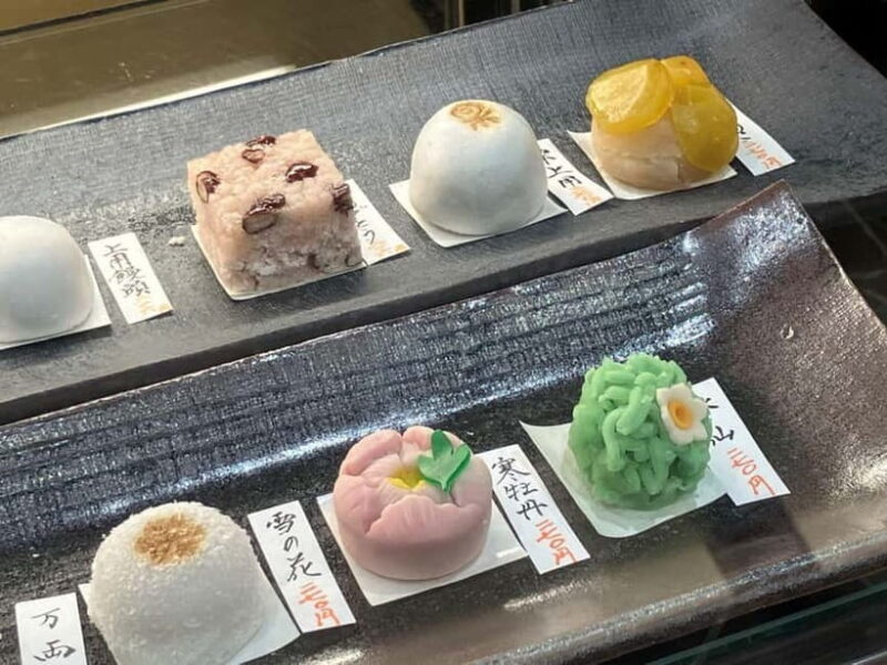 Kitakyushu: Kokura Castle Kimono and Tea Ceremony Tour - Who Would Enjoy This Experience?  