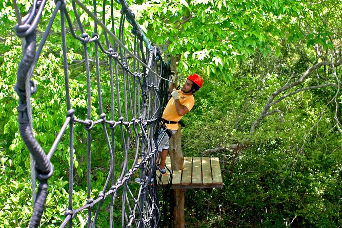 Kite Jeep Tour With Tree Canopy - Operator Information