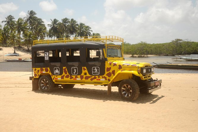 Kite Jeep Tour With Tree Canopy - Booking and Requirements