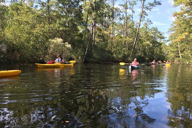 Kitty Hawk Maritime Forest Kayak Tour - Good To Know