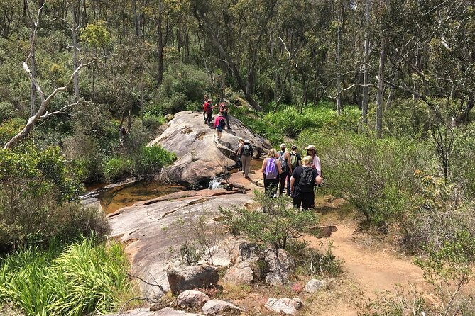 Kitty's Gorge Hiking Experience - Physical Fitness Level and Group Size