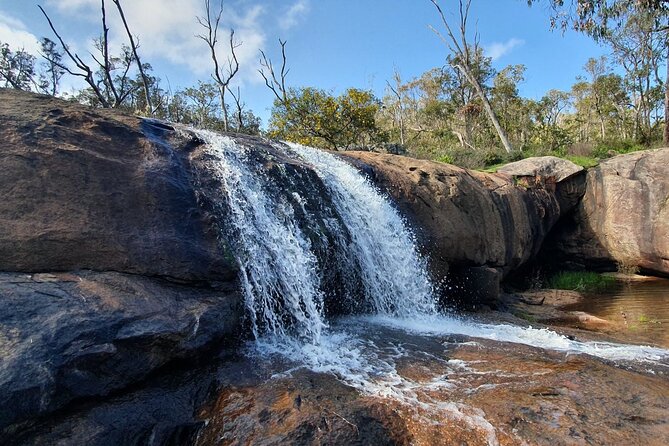 Kitty's Gorge Waterfall Hike in Australia - Wildlife and Flora