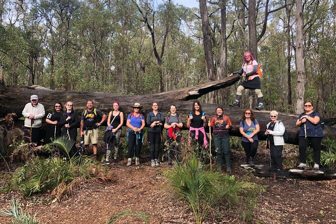 Kitty's Gorge Waterfall Hike in Australia - The Sum Up
