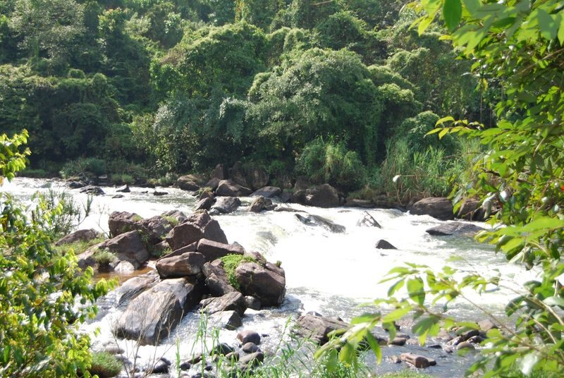 Kitulgala Adventure Day Tour From Colombo - How much activity will you actually get?