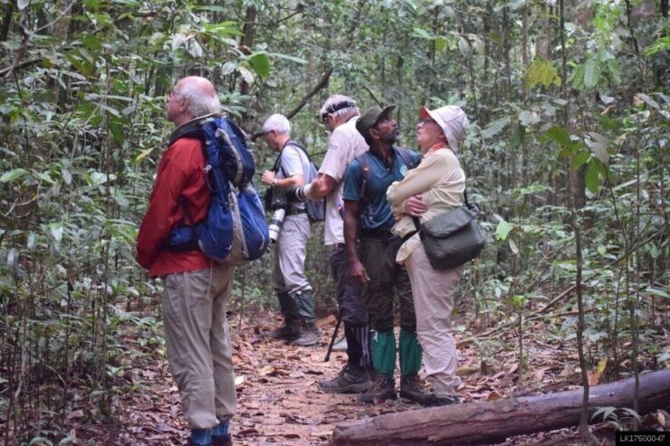 Kitulgala: Private Guided Bird Watching and Trekking Tour - Experience Highlights