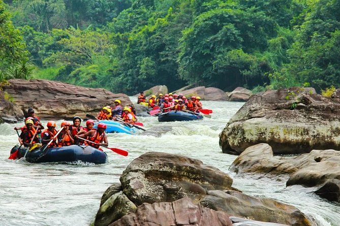 Kitulgala Rafting, Trekking, and Ziplining Experience  - Kandy - Rafting on the Kelaniya River
