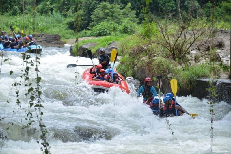 Kitulgala: White Water Rafting on the Kelani River - Practical Details and Logistics