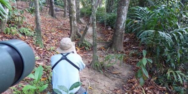 Kitulgala's Total Immersion: Full-Day Adventure Escape - Location and Things to Do in Kitulgala
