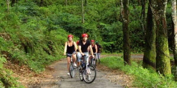 Kitulgala's Total Immersion: Full-Day Adventure Escape - Common Questions