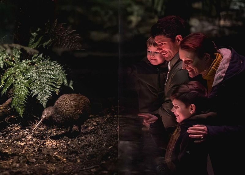 Kiwi Park Queenstown Admission Ticket - Who Will Get the Most from Kiwi Park?