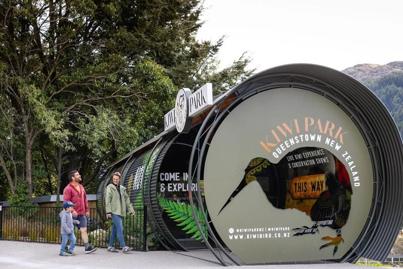 Kiwi Park Queenstown Admission Ticket - Should You Book the Kiwi Park Ticket?