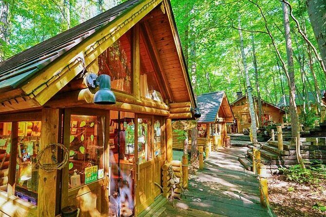 Kiyomizu dera Fushimi Inari and Nara Park Day Tour - Who Is This Tour Best For?