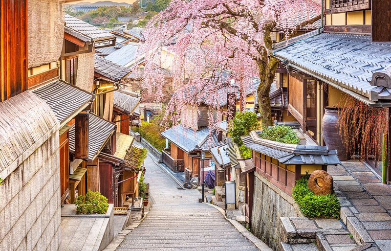Kiyomizu-dera, Kinkaku-ji, and Fushimi Inari One-Day Tour - What the guide adds, and what the tour does not promise