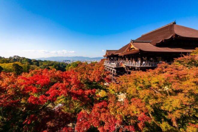 Kiyomizu Temple and Backstreet of Gion Half Day Private Tour - Selecting Participants and Date