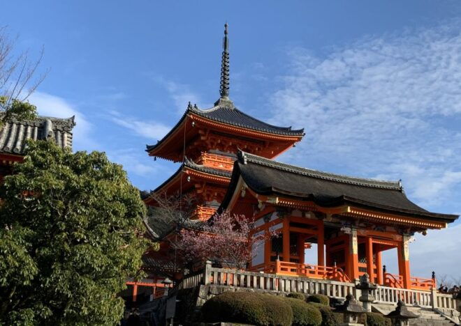 Kiyomizu Temple and Backstreet of Gion Half Day Private Tour - Important Information