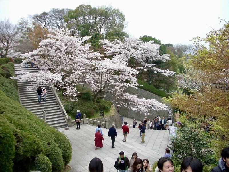 Kiyomizudera, Yasaka Shrine Discovery Walking Tour - A strong start at Kiyomizudera