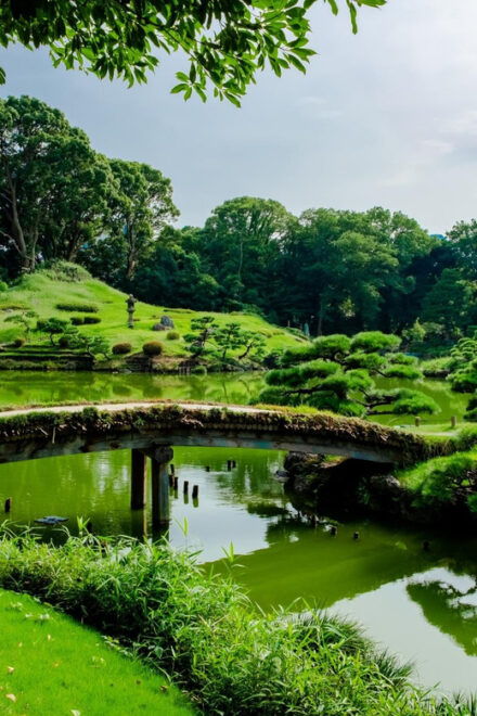 Kiyosumishirakawa~Traditional Gardens & Cafe Tour With Lunch - Itinerary Details