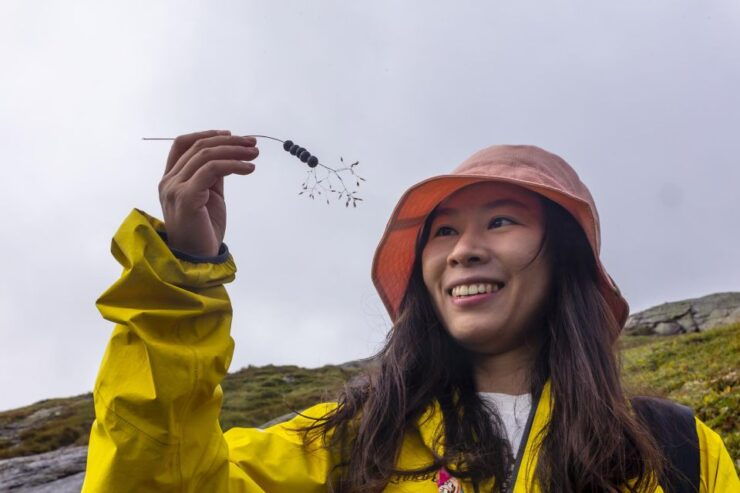 Kjerag Summer Hike - Experience Highlights