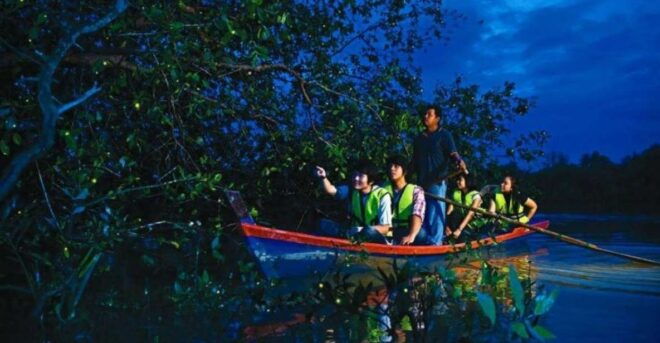 KL City, Batu Caves & Fireflies Combo Trip (3 in 1 Combo) - Drop-off Options and Driver Communication
