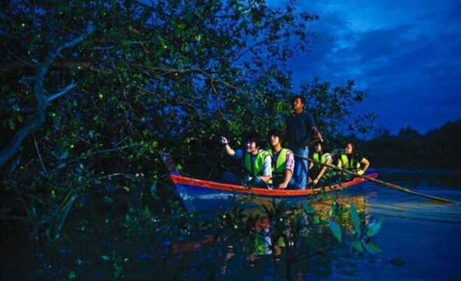 KL City, Batu Caves & Fireflies Combo Trip (3 in 1 Combo) - Pickup From Outskirt Hotels and Payment Details