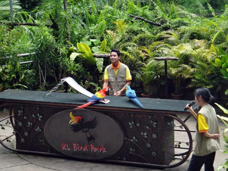 KL Green Escape: 4-Hour Gardens, Bird & Butterfly Tour - Good To Know